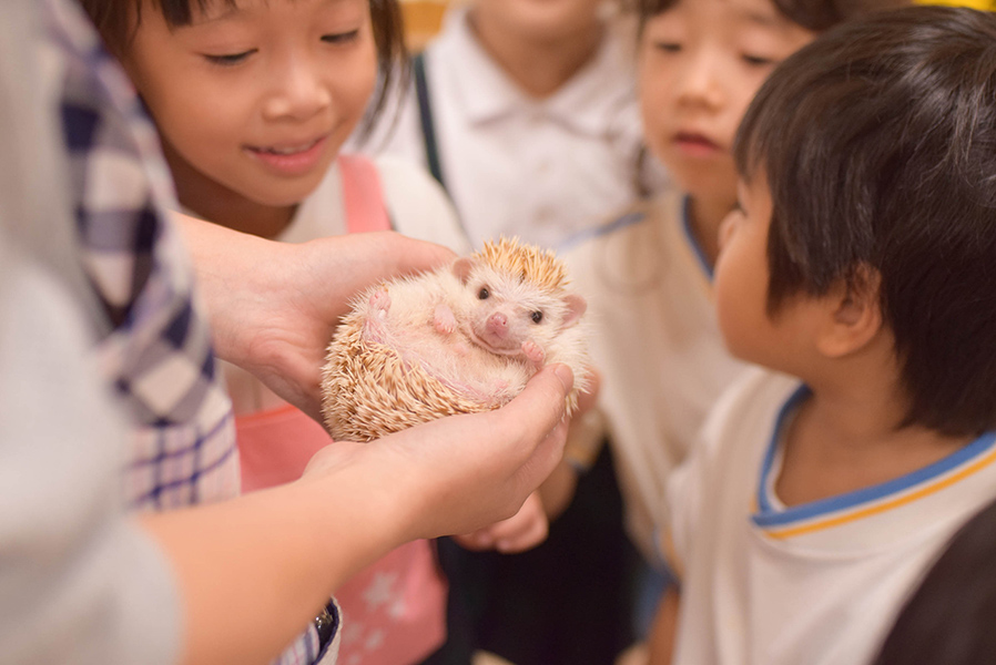 はりねずみのちくわくんを見ている園児たちです